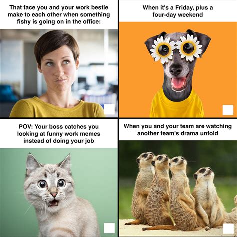 125 Funny Work Memes To Keep You Laughing Through The Week Meme Funny