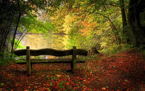 4k Benches Wallpapers High Quality Download Free