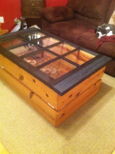 It took two weeks to build this table but i think it looks really nice and a ton better then the last one. Tortious habitat/coffee table | Tortoise table, Baby ...