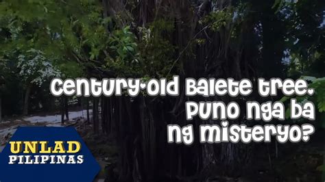 Century Old Balete Tree Puno Nga Ba Ng Misteryo Unlad Pilipinas Youtube
