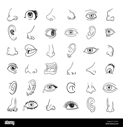 Eye Nose Ear And Mouth Collection In Different Expressions Vector Icon