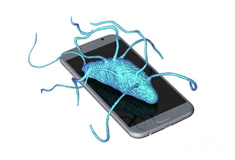 Bacteria Found On Mobile Phone Photograph By Kateryna Konscience Photo