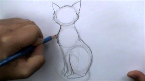 How To Draw A Basic Cat Sitting Youtube