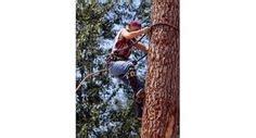 10 Best Lumberjack Competition Ideas Lumberjack Competition