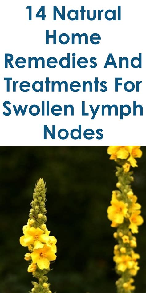 14 Quality Home Remedies For Swollen Lymph Nodes