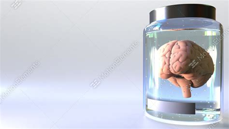 Human Brain In A Jar 3d Animation Scientific Lab Study Or