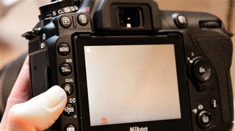 10 Steps To Sharper Images With Your Camera Digital Camera World