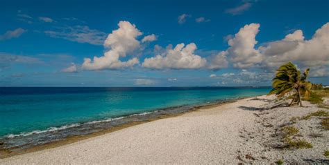 Pink Beach Bonaire Official Tourism Site