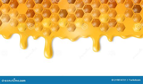 Honeycomb With Dripping Honey Isolated On White Background Vector Stock