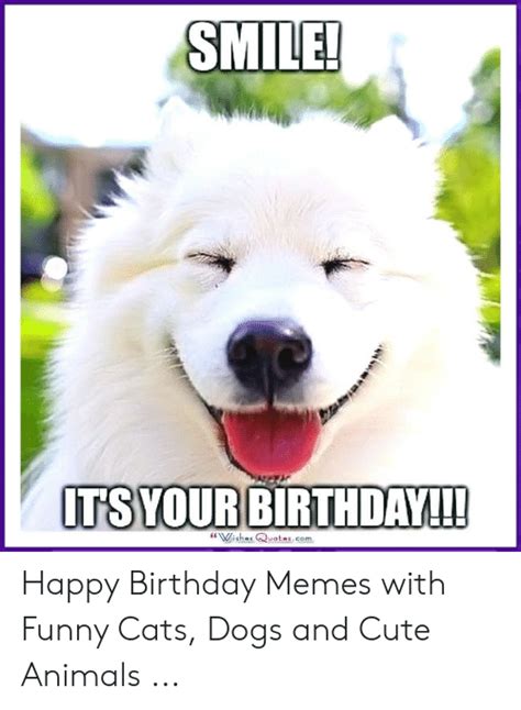 Smile Itsyour Birthda Wishes Quoteseom Happy Birthday Memes With