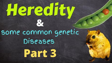 Heredity And Common Genetic Diseases Part 3 Youtube