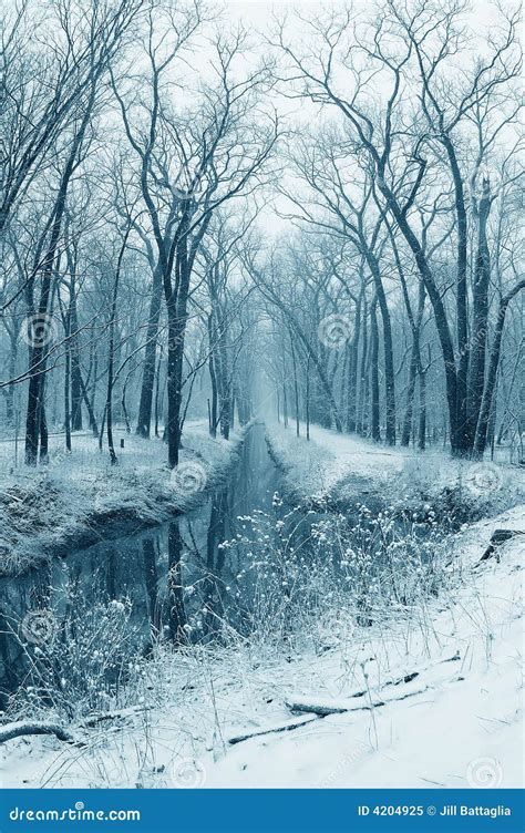 Snowy Stream In The Woods Stock Image Image Of Wilderness 4204925