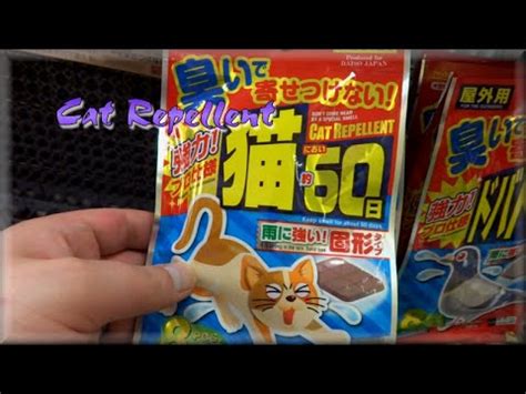 This is because they like to scratch my car. Cat Repellent ★Japan Vlog 6★ (2014) - YouTube