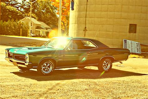 Niki Parker Photography 66 Gto