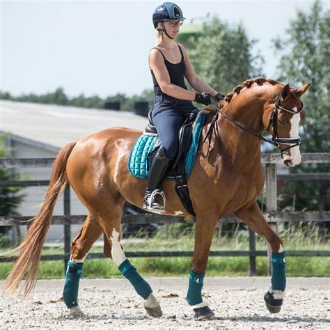 Equestrian | Equestrian outfits, Equestrian, Horse coat colors