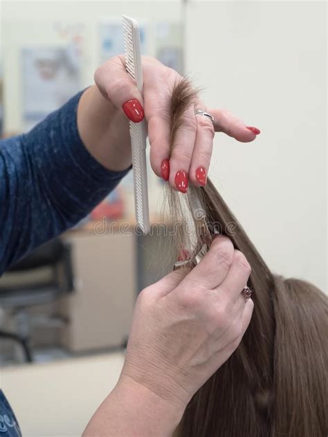 Scissors Cutting Lock Of Hair Stock Photo Image Of Salon