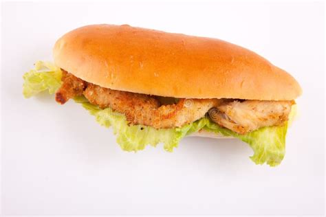 Chicken Sandwich Stock Photo Image Of Burger Healthy 101395878