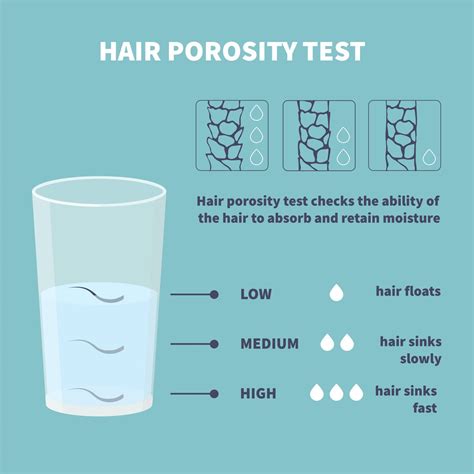 What Is Hair Porosity And How To Determine Whether You Have High Or Low