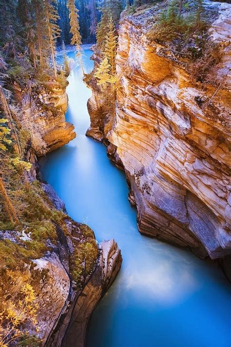 Places For Traveling Athabasca Falls At Dusk Jasper