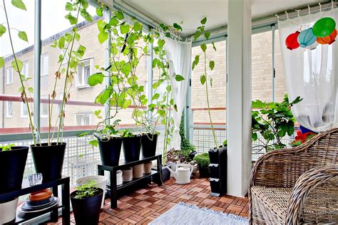 19 Indoor Garden Designs Decorating Ideas Design