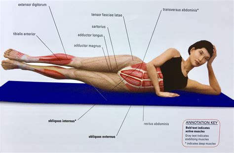 Side Leg Lift Target Pelvic Stabiliser Muscles Oblique Abdominal