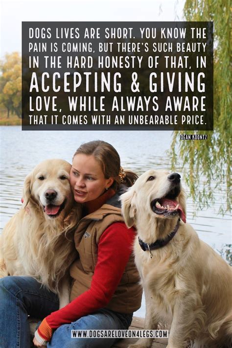 Inspirational Meaningful Quotes About Dogs - ShortQuotes.cc