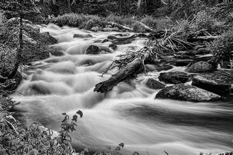 Flowing Rocky Mountain Stream In Black And White Photograph By James Bo