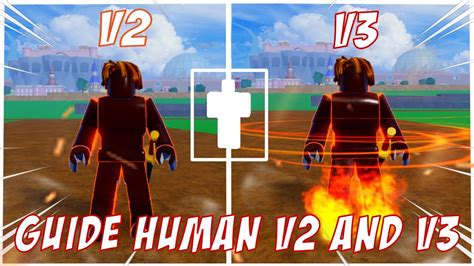 Blox Fruits How To Get Human V2 And V3 Guide Youtube