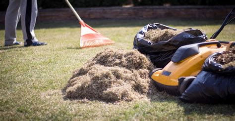 Zeigt sich auffällig viel unkraut oder bleiben bei einer probe mit der metallharke oder dem grubber, die locker durchs gras gezogen werden man kann seinen rasen von frühjahr bis herbst, also in den monaten von april bis september, vertikutieren. Rasen nach dem Winter: Die erste Pflege im Frühjahr ...