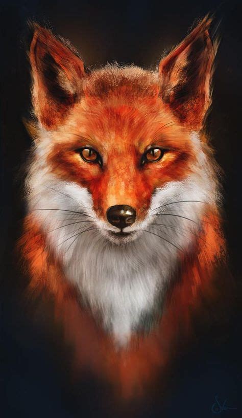 raposa feita em lápis aquarela Pintura de raposa Raposas desenho Arte raposa