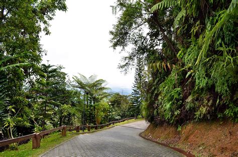 Sambungan dari entry colmar tropicale, bukit tinggi. Trip to Bukit Tinggi Malaysia - Berjaya Hills: Japanese ...