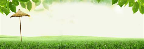 Green Nature Banner Background Green Natural Leaves Background Image