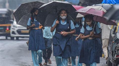 Tamil Nadu Schools Closed In Several Districts Due To Heavy Rain