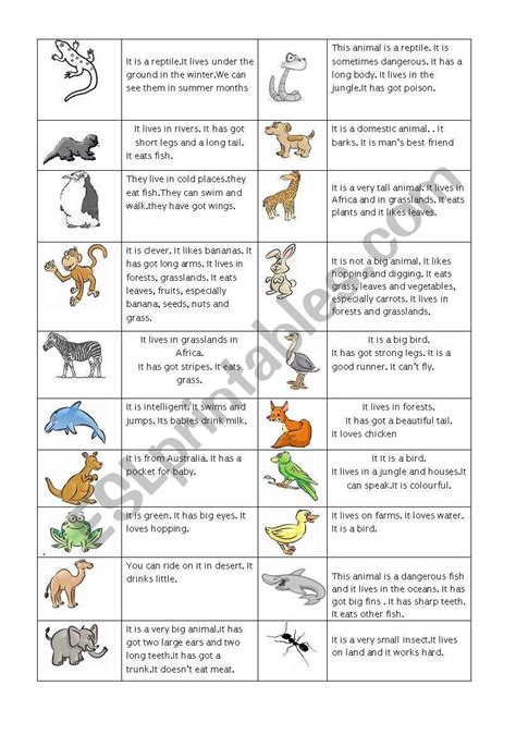 Animal Quiz For Kids Hachosting