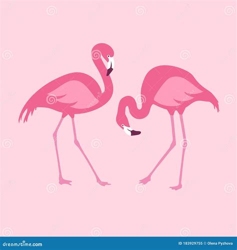 Vector Isolated Pink Flamingos Pair Hand Drawn Illustration Stock