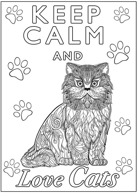 55 British Shorthair Cat Coloring Pages Sketchycolrs