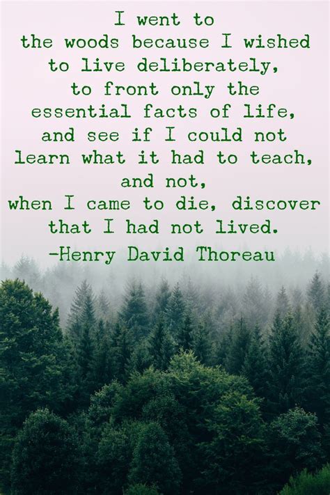 5 Quotes From Henry David Thoreau That Will Inpsire You To Get Outside