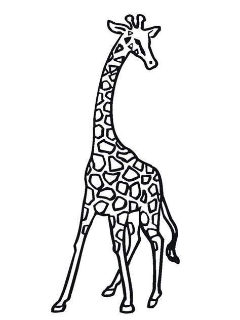 Coloriage Une Girafe En Noir Dessin Gratuit à Imprimer