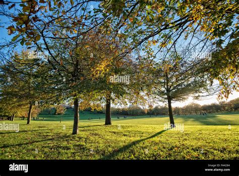 Greenwich Royal Park Covers 73 Hectares And Is The Oldest Enclosed