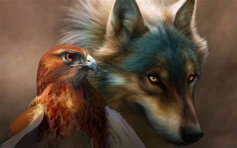 Indian And Wolf Wallpaper Images 64 Images