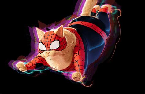 2560x1664 Spider Cat Across The Spider Verse 2560x1664 Resolution