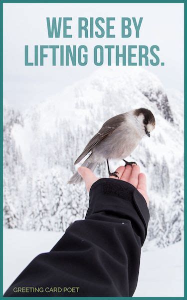 Caring Quotes So You Will Treat People Better Than They Deserve Bird