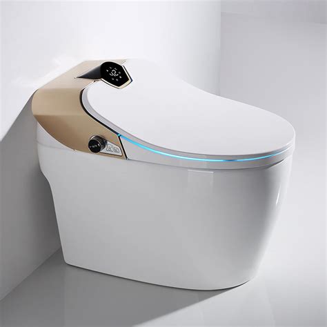 Toilette Moderne Japonaise Samouraï Japan Wc