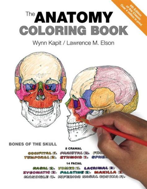 The Anatomy Coloring Book By Wynn Kapit Lawrence Elson Paperback