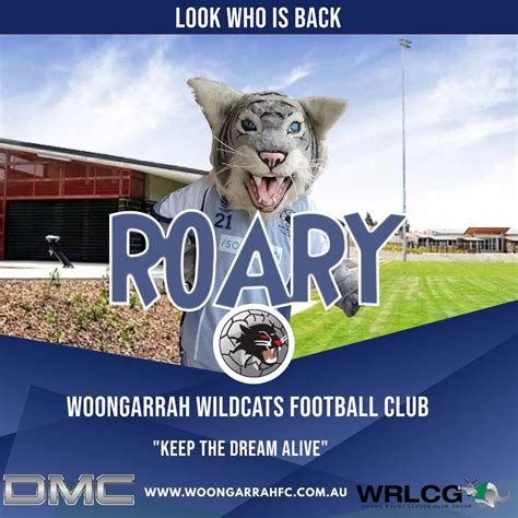 Looks Whos Back At Hamlyn Terrace Woongarrah Wildcats Football Club