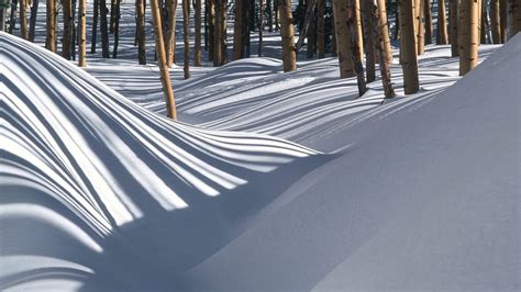 Wallpaper Snowdrifts Wood Shades Hd Picture Image