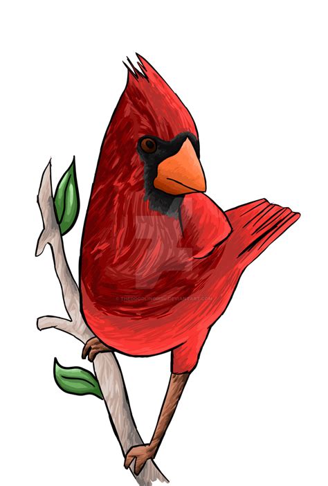 Cardinal By Johanna Gilkey By Thedoodlinggirl On Deviantart