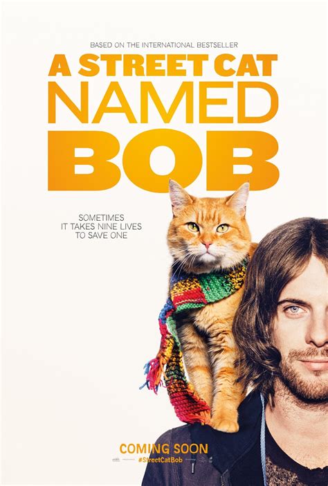 The Carrcom Blog Movie Review A Street Cat Named Bob