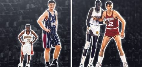 Ultimate Guide The Average Height Of Nba Players By Position