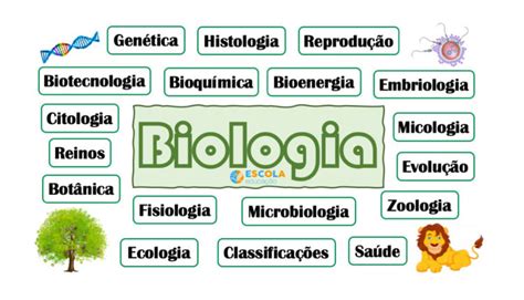 Mapa Mental Niveis De Organizacao Em Biologia Biologia Resumos Enem Images